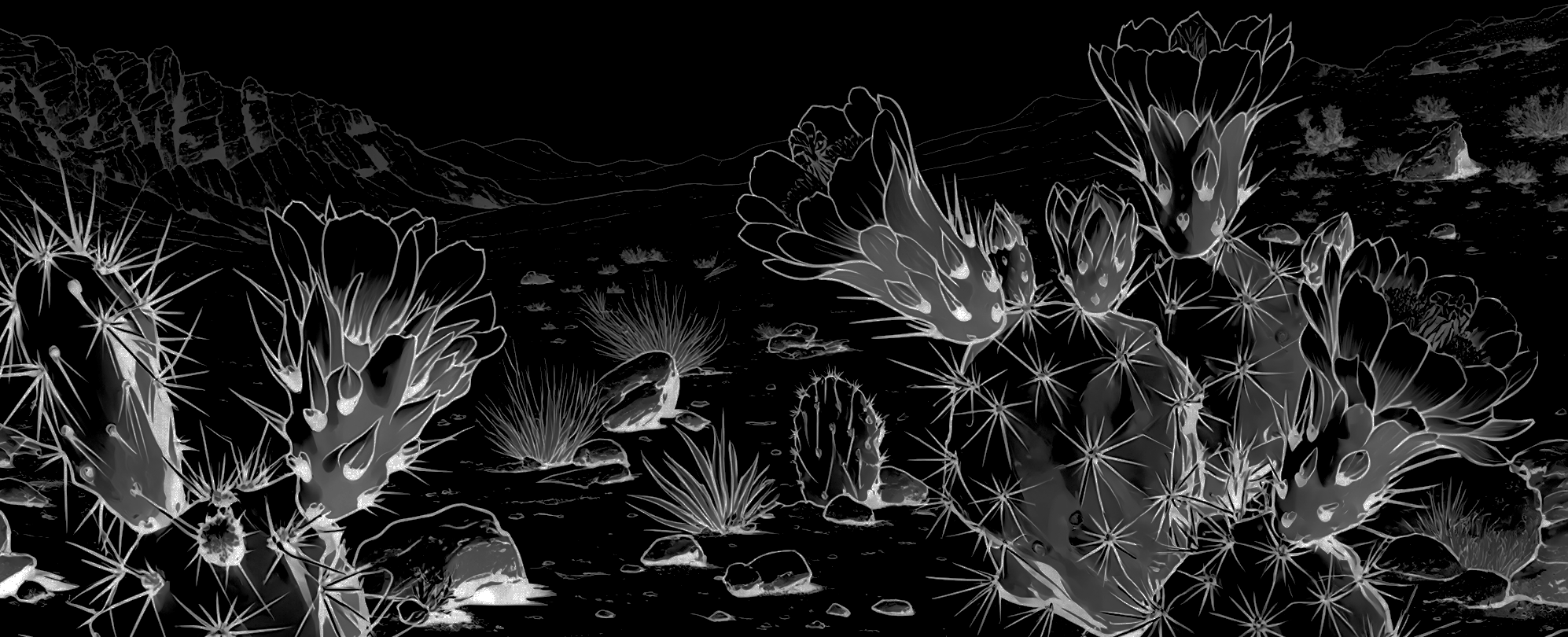 Negative colored desert with cactus and flowers